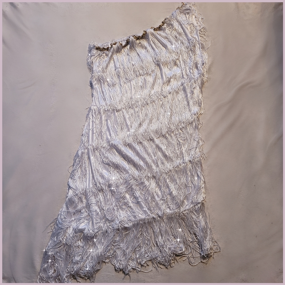 🔵 3/"30 JERRY BECK Flapper Tassel Dress